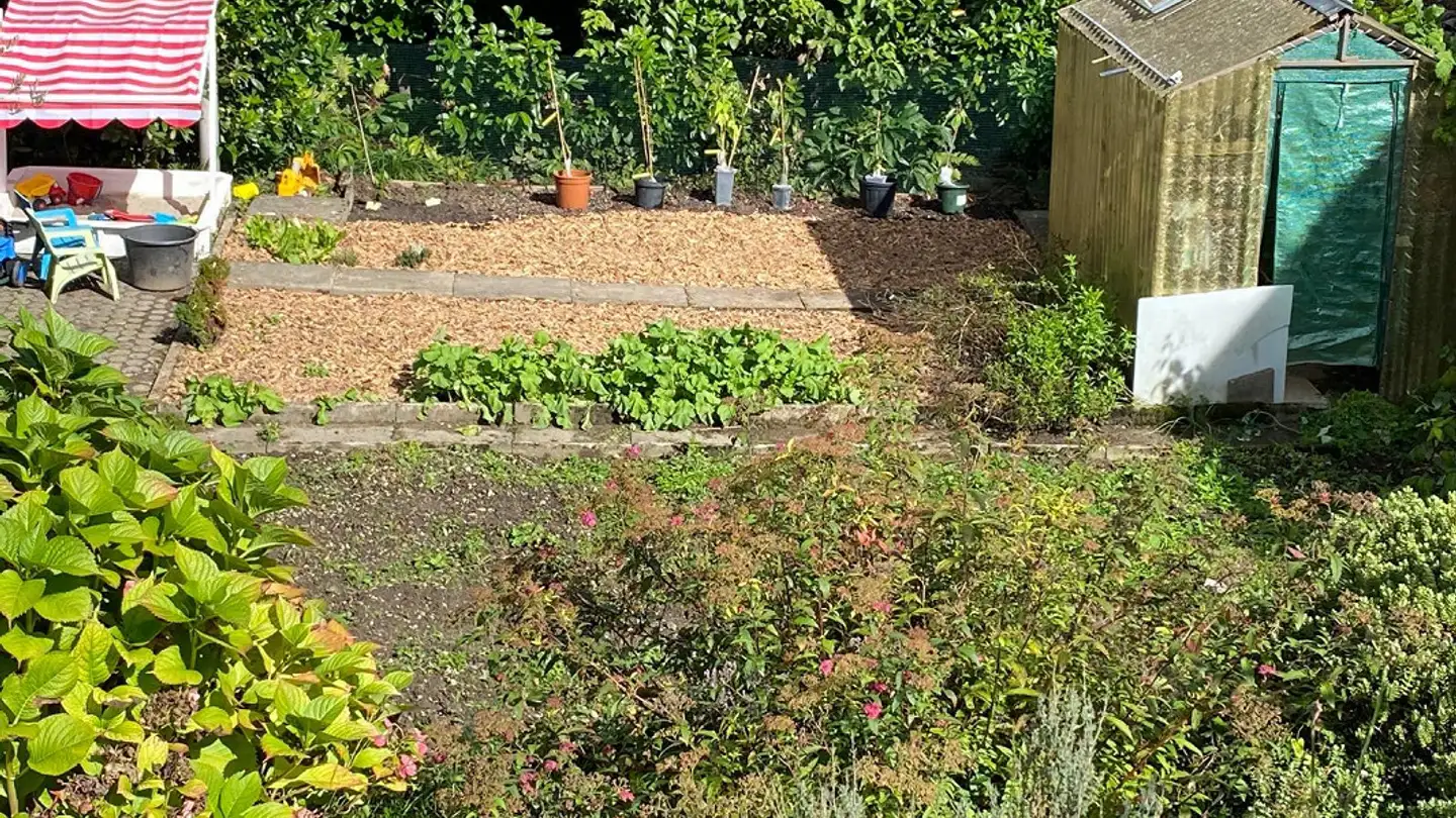 Appartamento ammobiliato in affitto - Bosslochweg 10, 4914 Roggwil BE - Photo 2