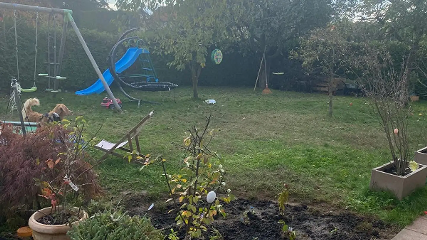 Appartamento ammobiliato in affitto - Bosslochweg 10, 4914 Roggwil BE - Photo 3