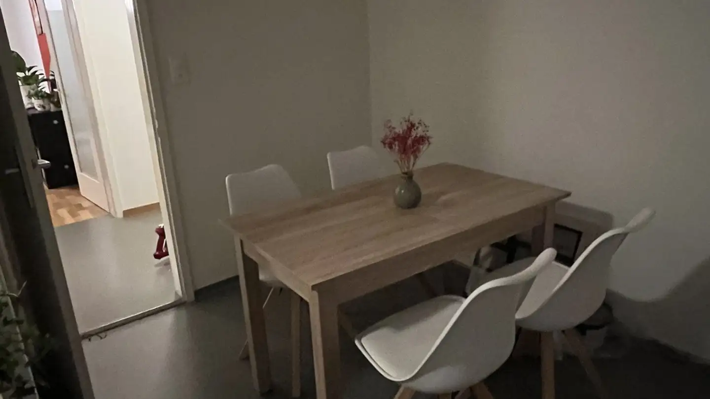 Wohnung mieten - 8051 Zürich