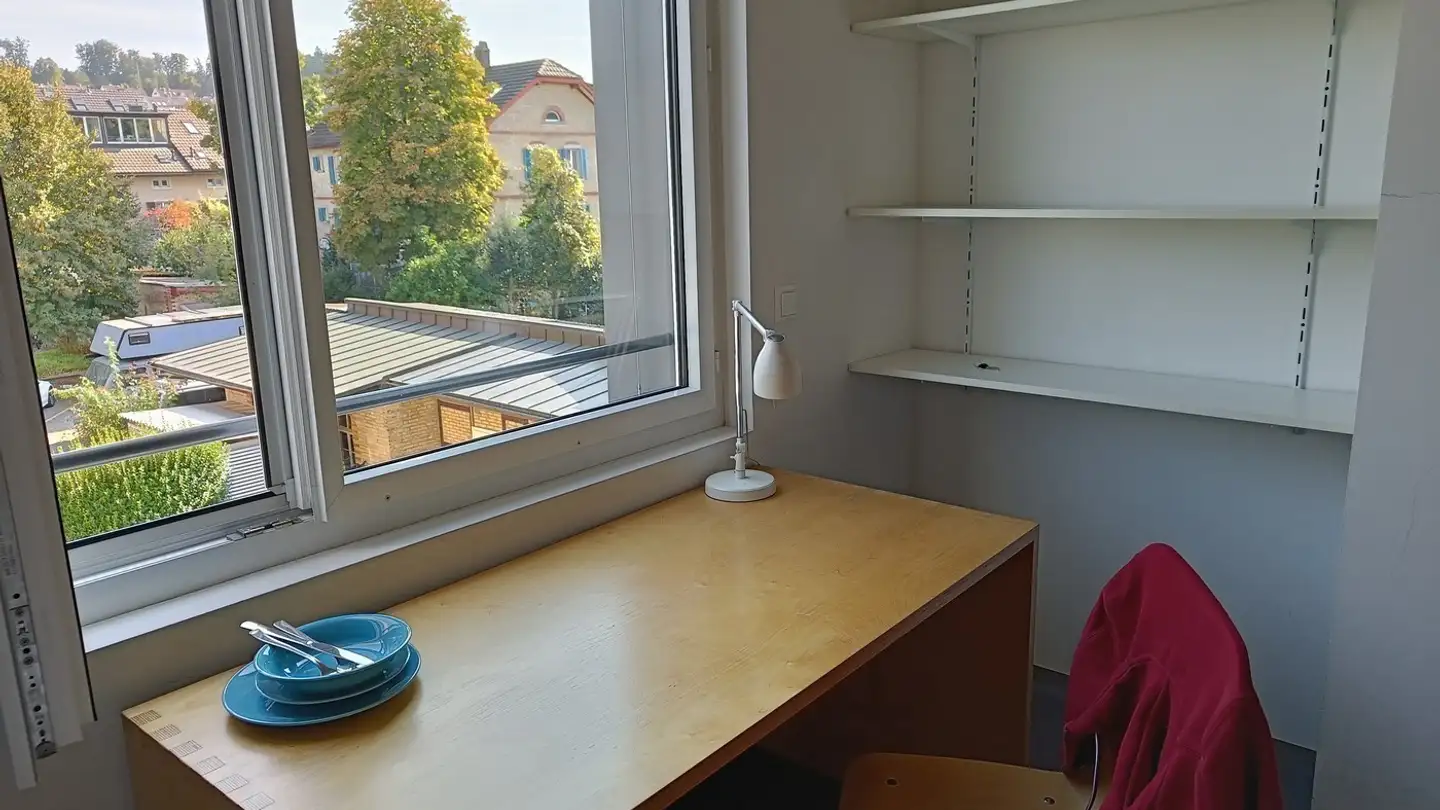 Single room for rent - Untere Briggerstrasse 31, 8406 Winterthur