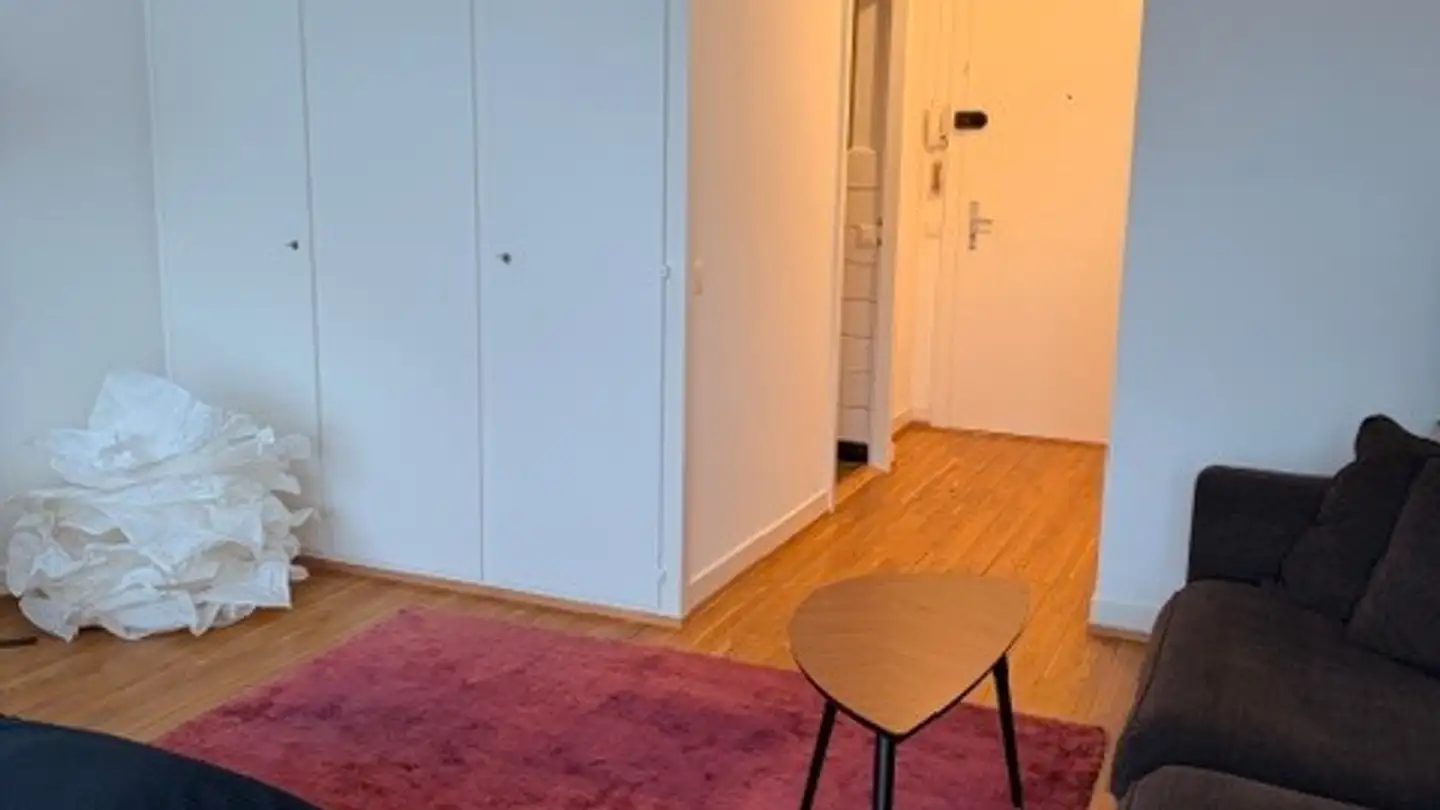Möblierte Wohnung mieten - Rue Des Eaux-Vives, 1207 Genève - Foto 3