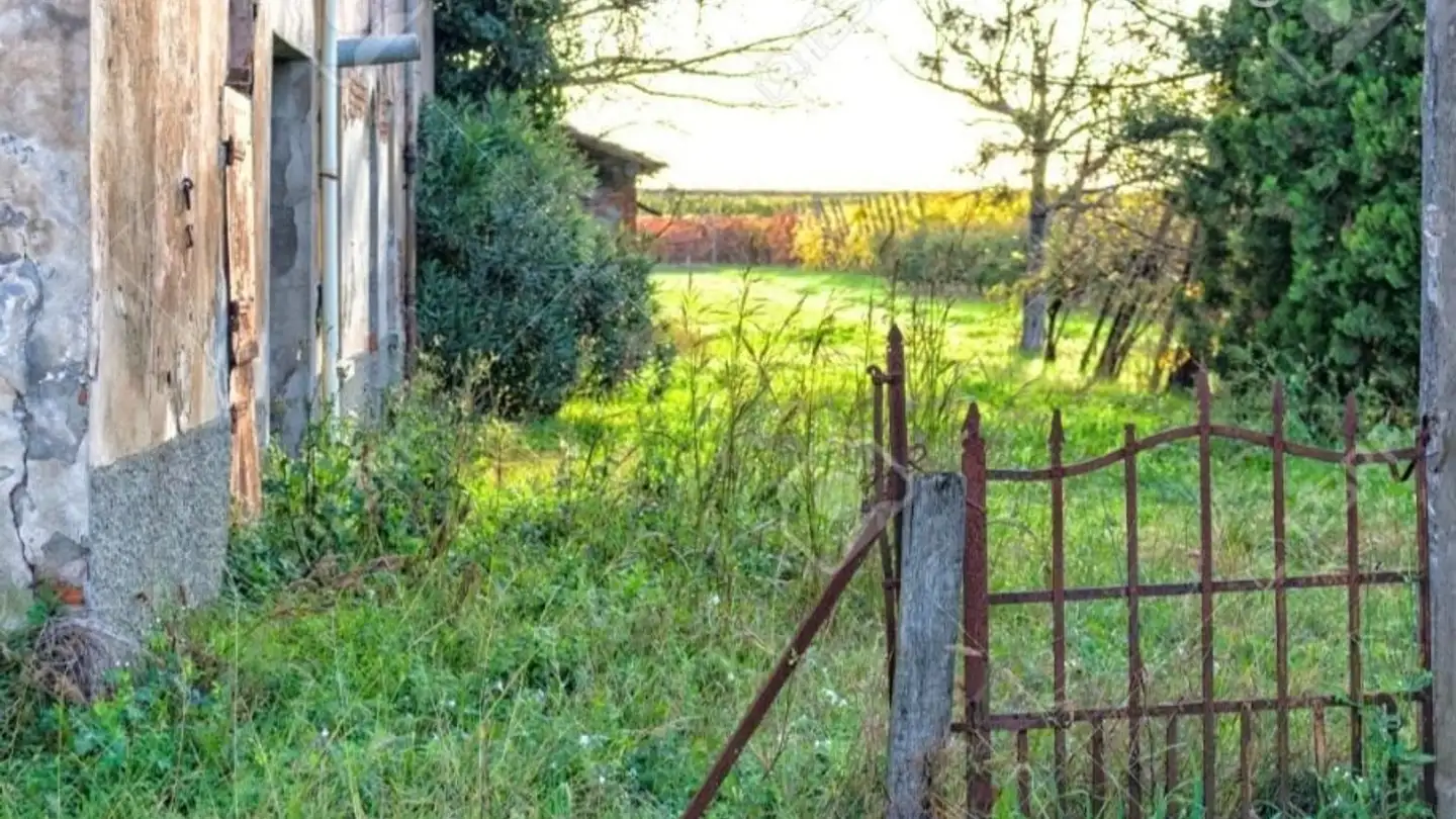 Casa singola in affitto - 1000 Lausanne 25