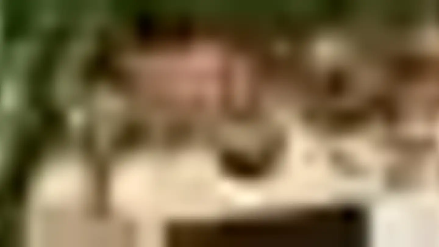Single room for rent - 4124 Schönenbuch