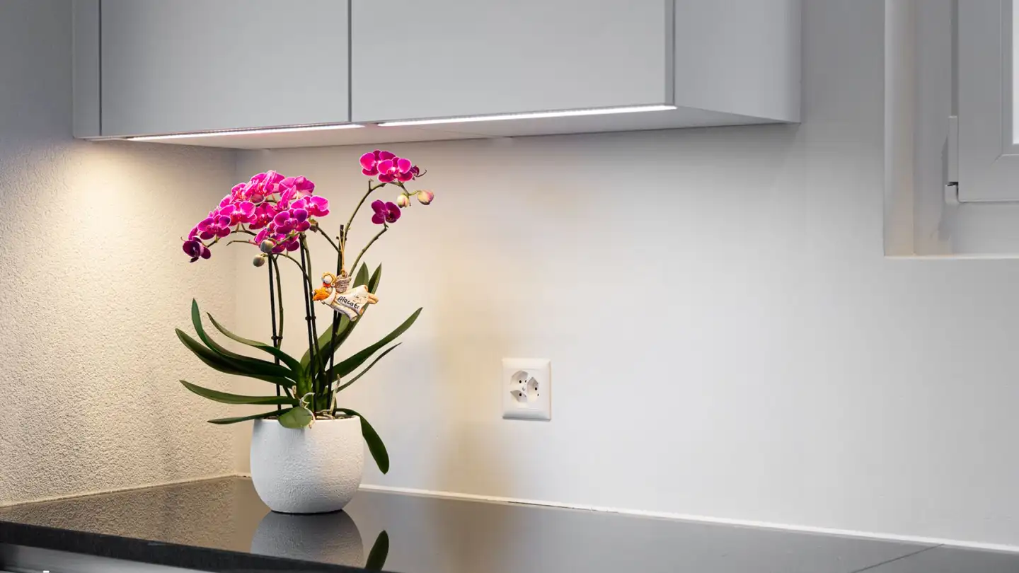 Einfamilienhaus kaufen - Eichwaldstrasse, 5079 Zeihen - Foto 4