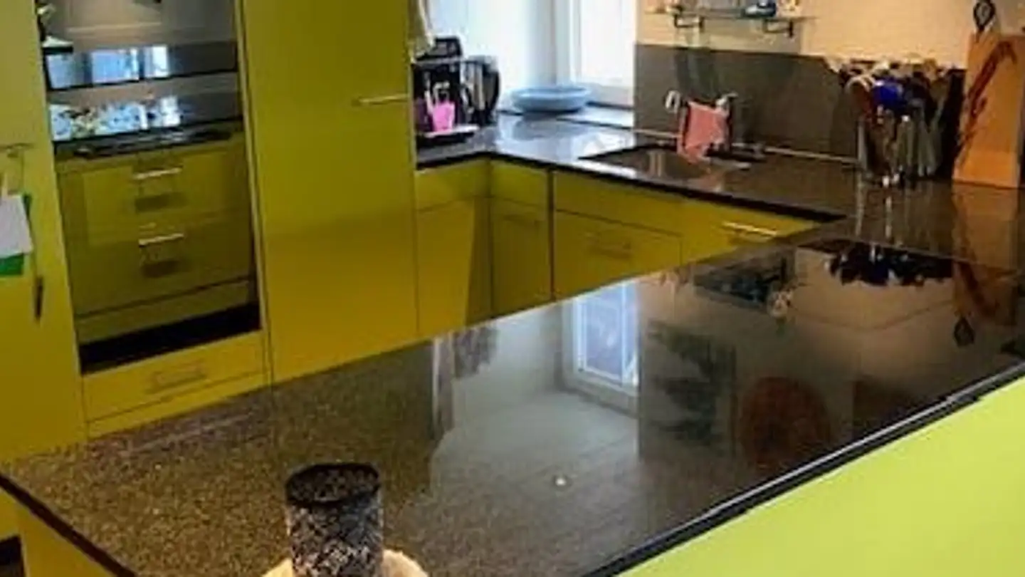 Appartement à louer - Chalchtarenstrasse 80, 8820 Wädenswil - Photo 3