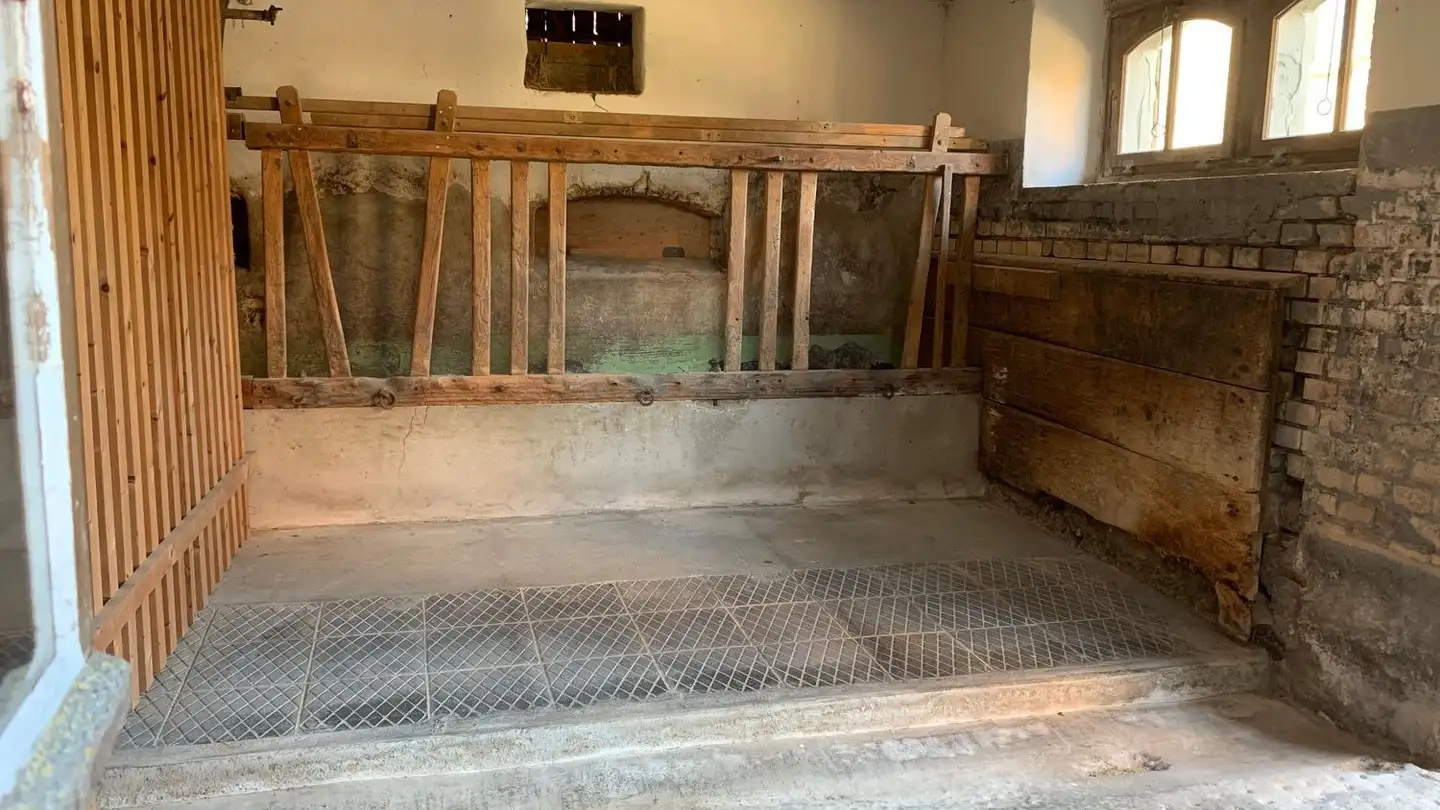 Sala hobby in affitto - Untere Hueb 4, 8636 Wald ZH - Foto 3