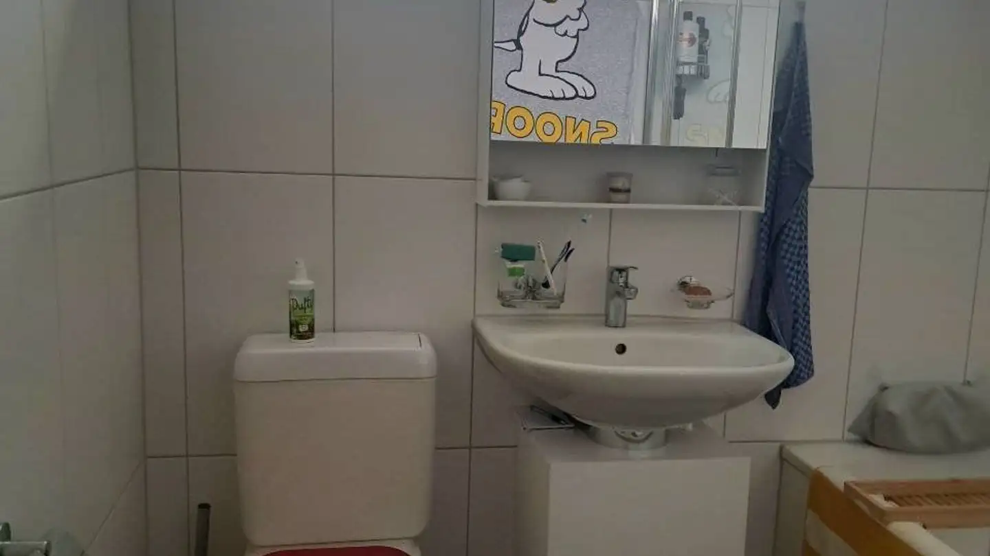 Appartamento in affitto - Bernstrasse 46, 3267 Seedorf BE - Foto 4