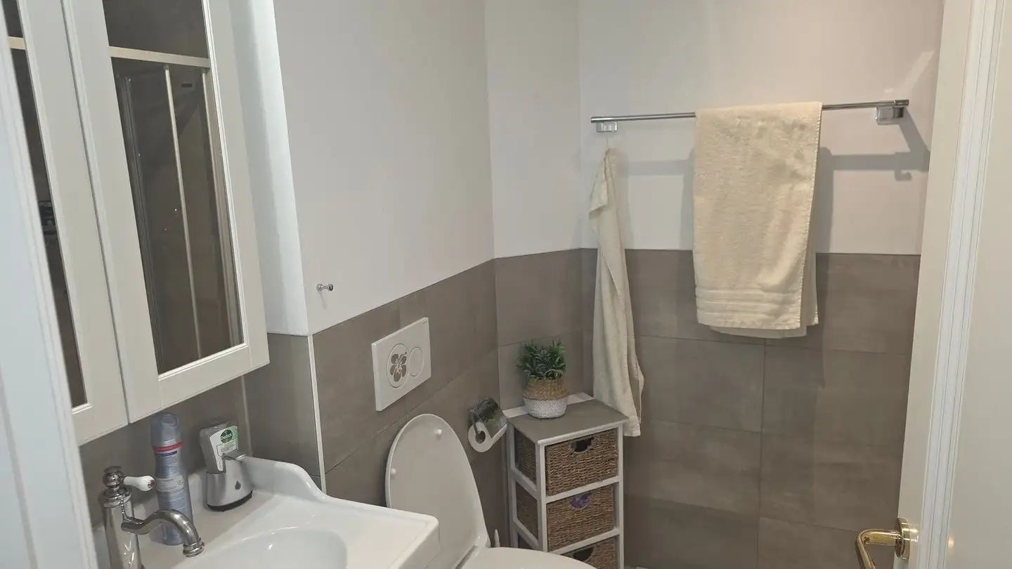 Studio mieten - Napoleonstrasse 20, 3902 Glis - Foto 3