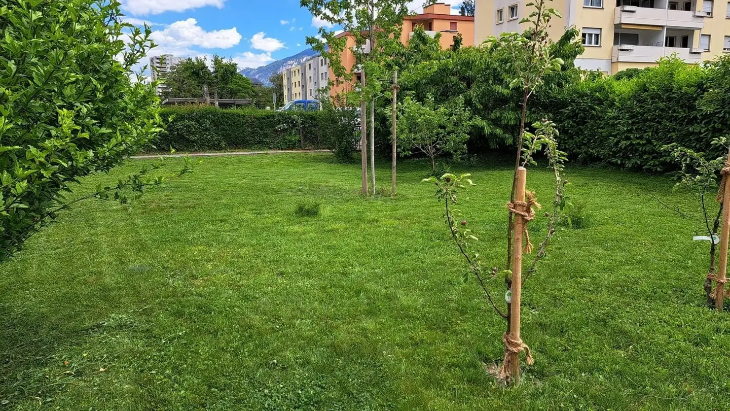 Wohnung mieten - Rue De La Treille, 1950 Sion - Foto 4