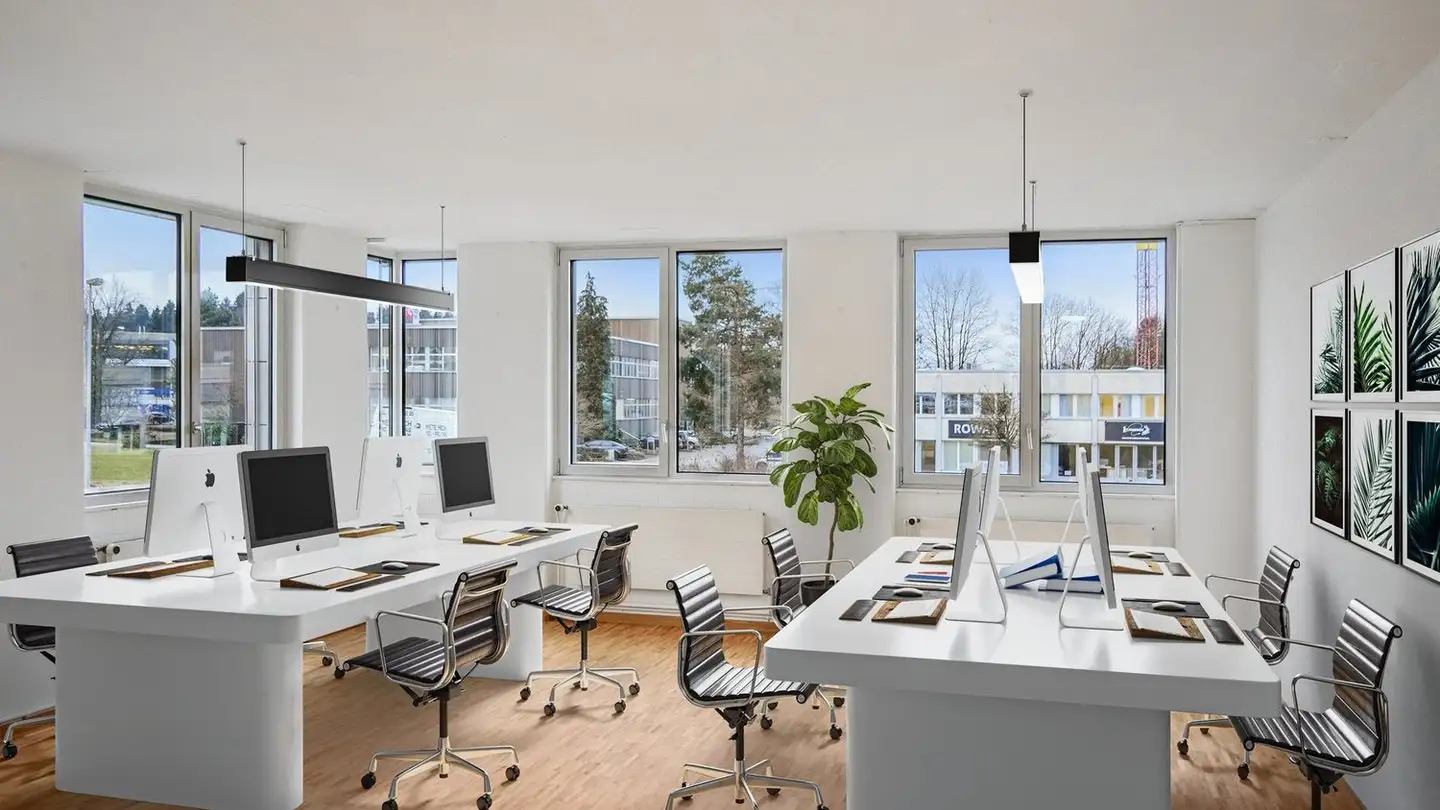 Commercial for rent - Alte Obfelderstrasse 50, 8910 Affoltern am Albis - Photo 2