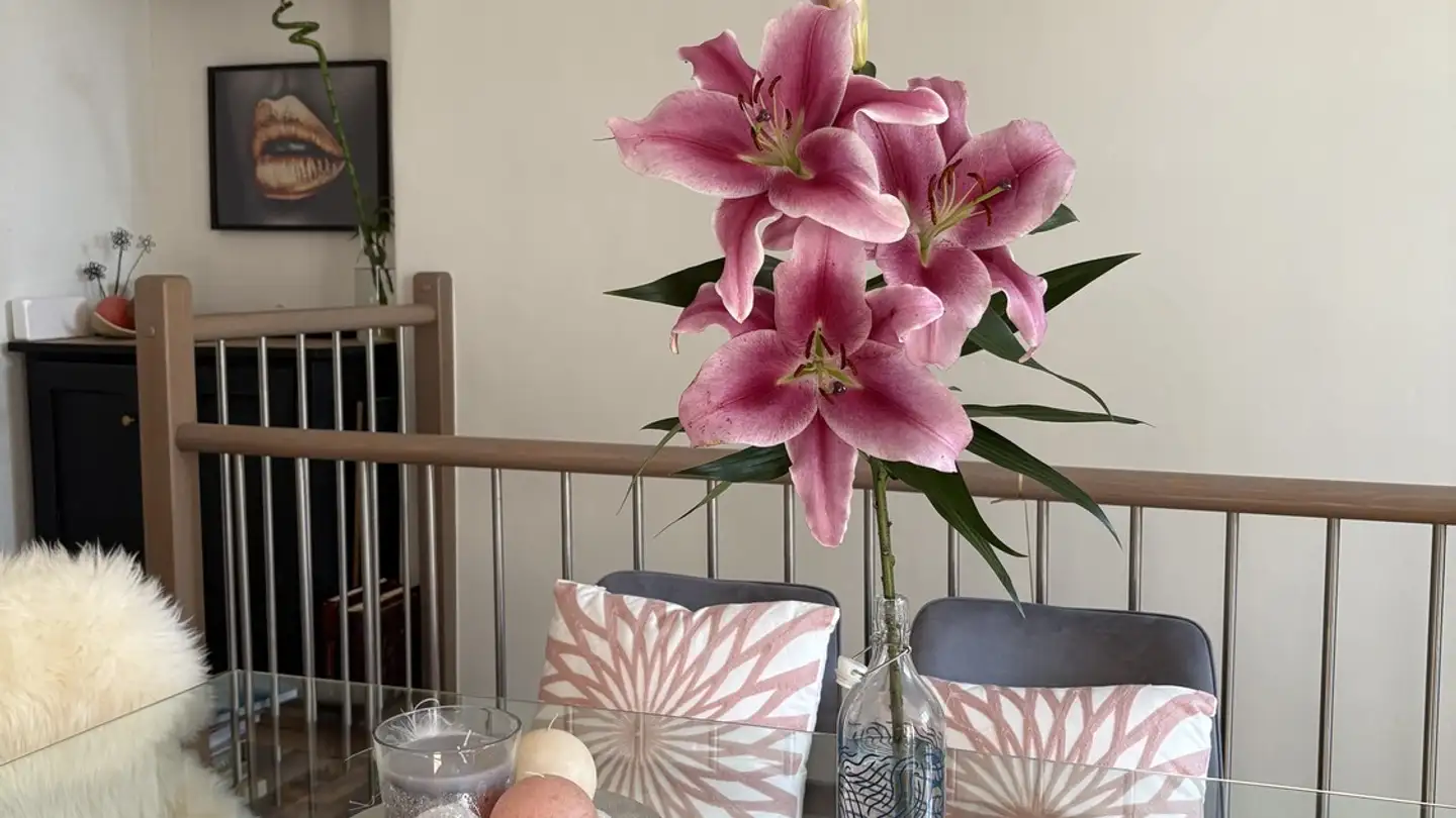 Möblierte Wohnung mieten - Passage Voltaire 2, 1088 Ropraz - Foto 4