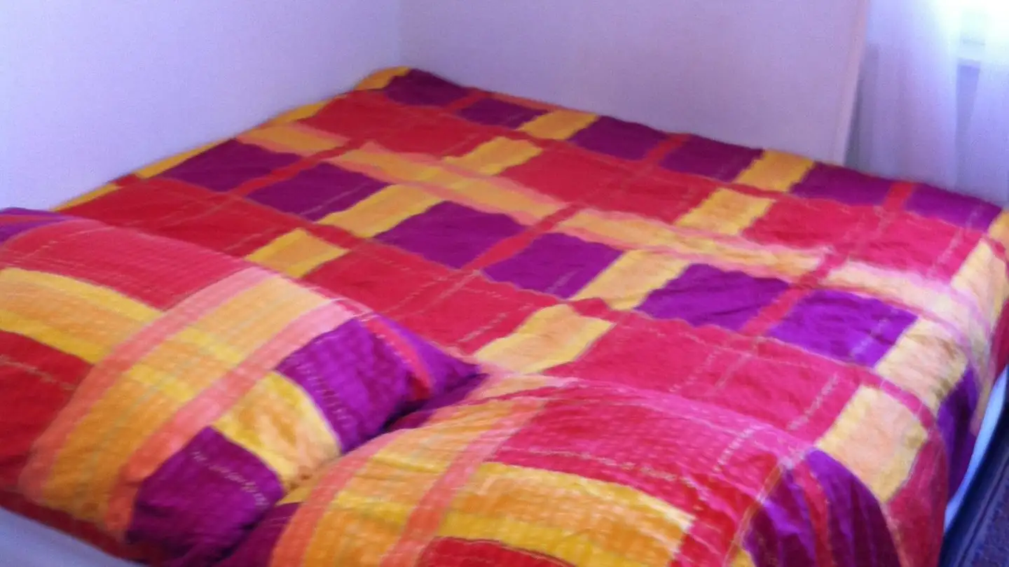 Chambre à louer - Route De Berne 12, 1010 Lausanne - Photo 3