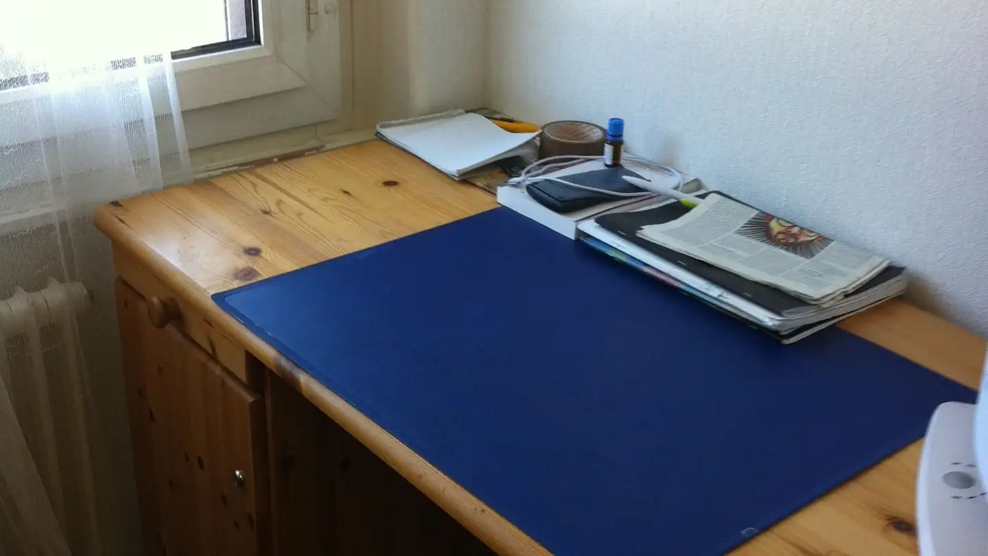 Chambre à louer - Route De Berne 12, 1010 Lausanne - Photo 4