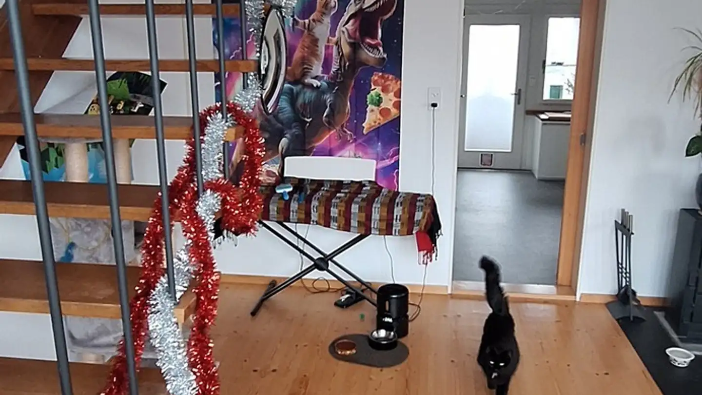 Chambre à louer - 3073 Gümligen - Photo 3