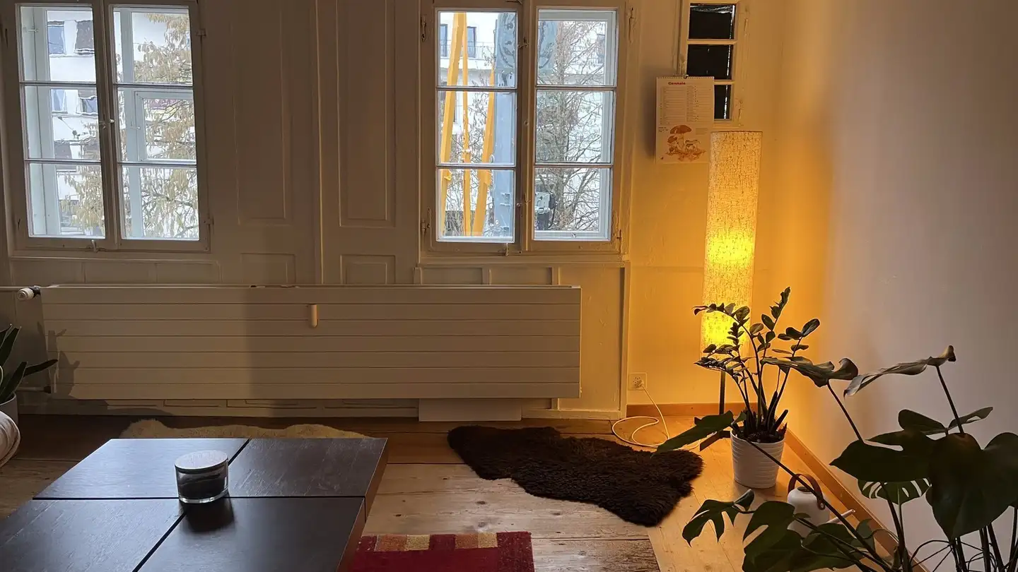 Stanza singola in affitto - 8008 Zürich - Foto 3