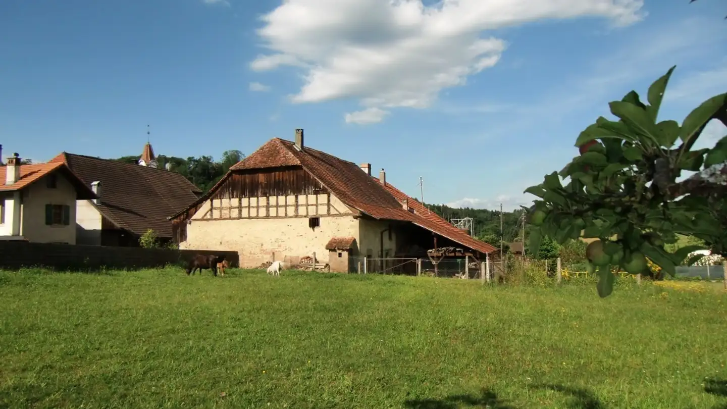 Bauernhof kaufen - 1580 Avenches - Foto 2