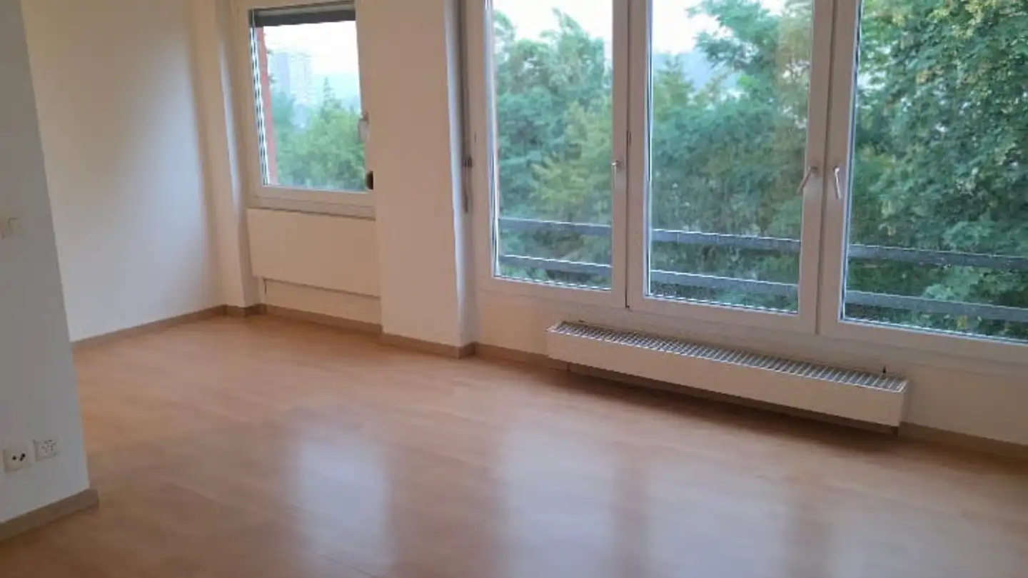 Apartment for rent - Lingerizstrasse 70, 2540 Grenchen