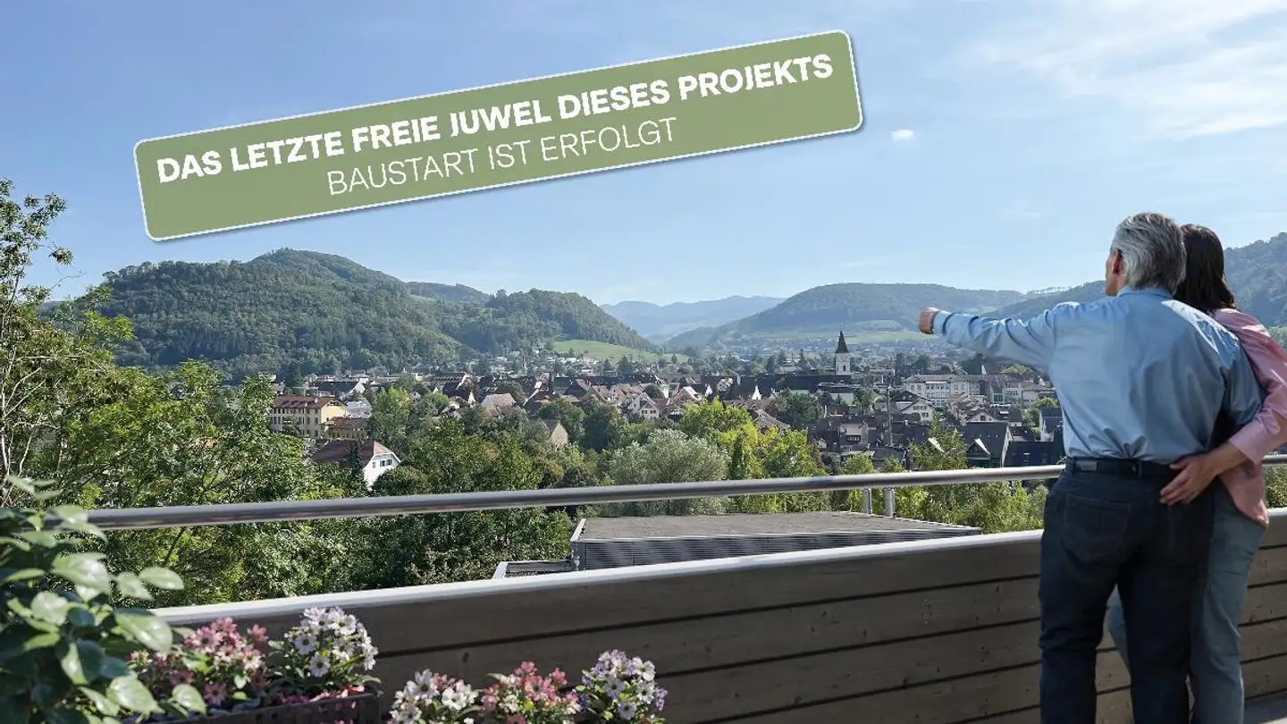 Attique à vendre - Haldenweg 17, 4450 Sissach