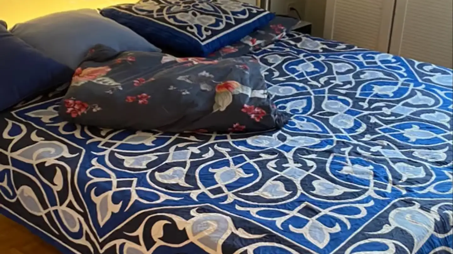 Single room for rent - Rellstenstrasse, 8134 Adliswil