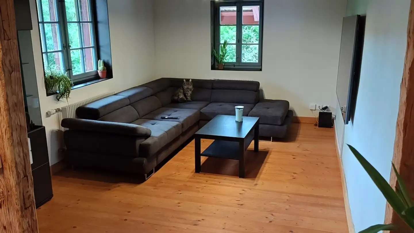 Apartment for rent - Embracherstrasse 10, 8425 Oberembrach