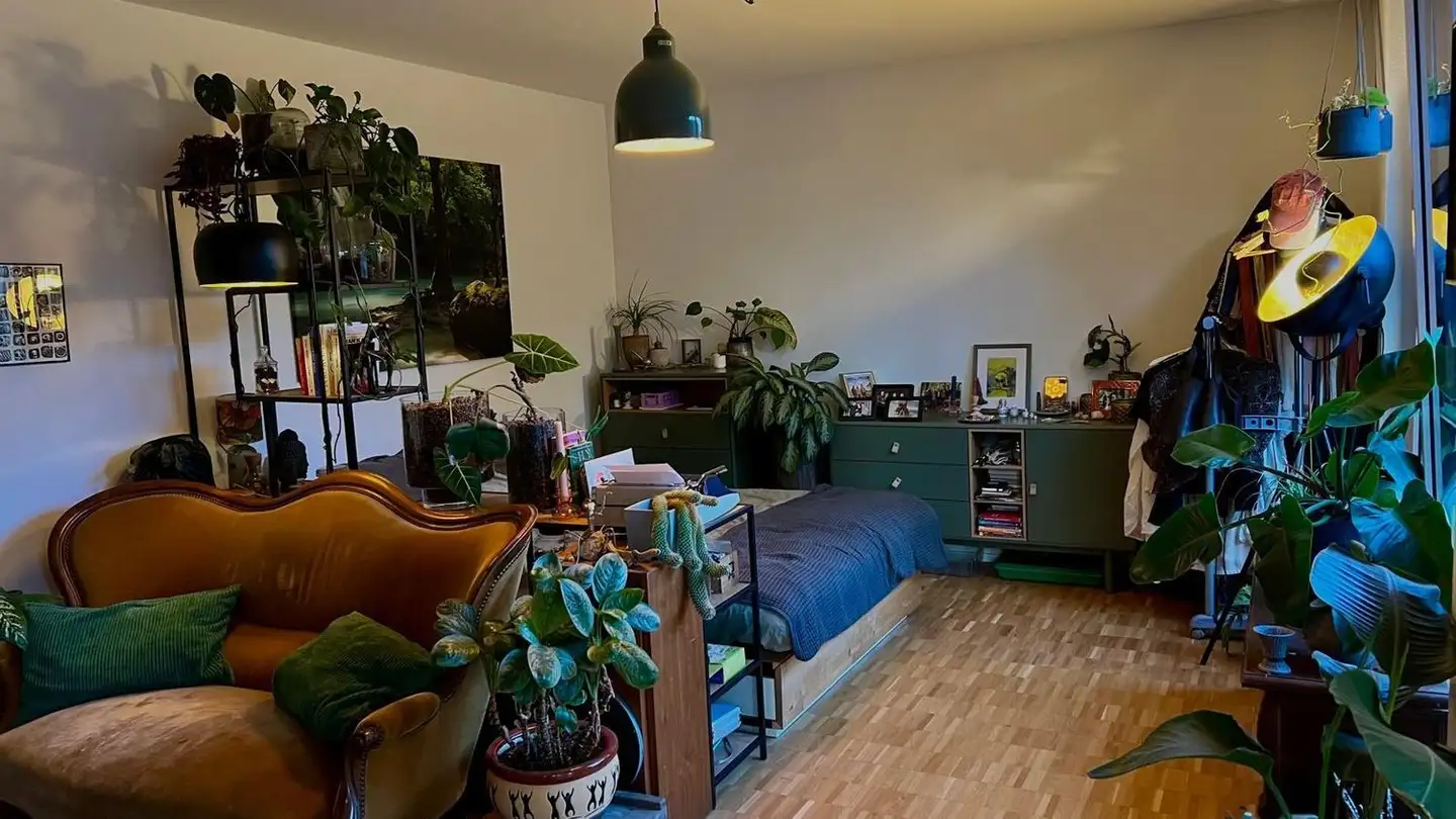 Apartment for rent - 8400 Winterthur