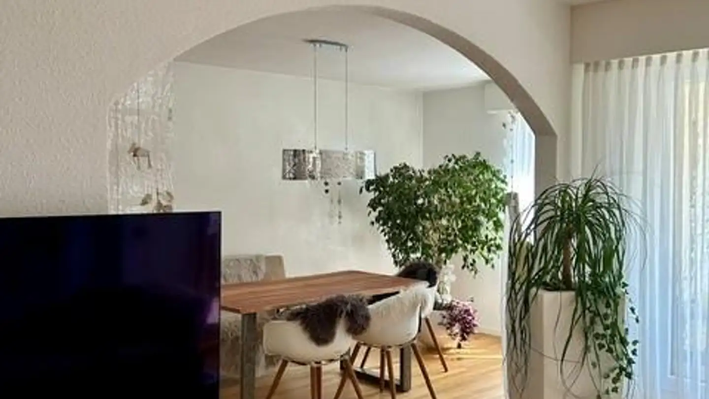 Wohnung mieten - Wiesentalstrasse 1, 9320 Arbon