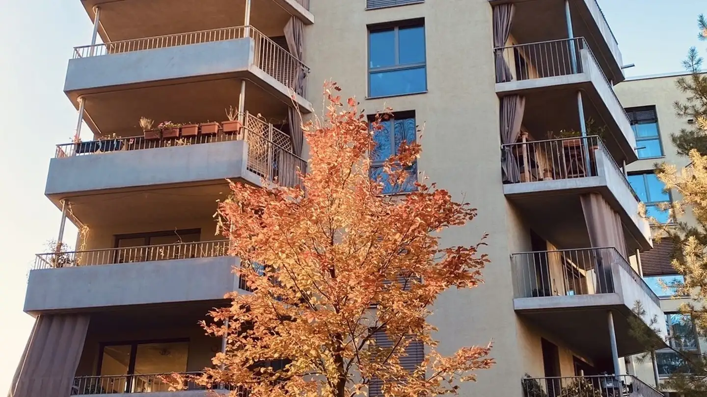 Chambre à louer - 8006 Zürich - Photo 3