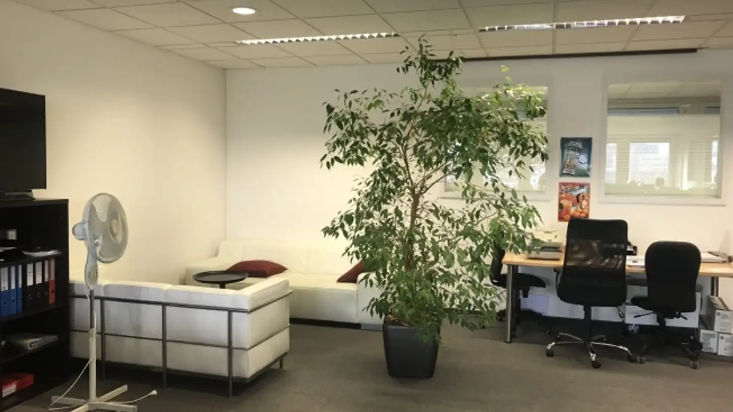 Office space for rent - Lettenstrasse 7, 6343 Rotkreuz - Photo 4