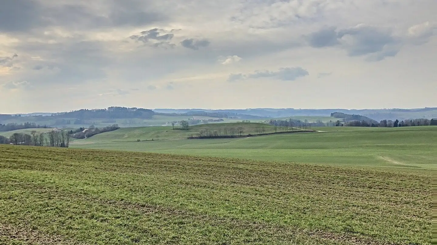 Appartement à louer - Route De Moudon 49, 1670 Ursy - Photo 3