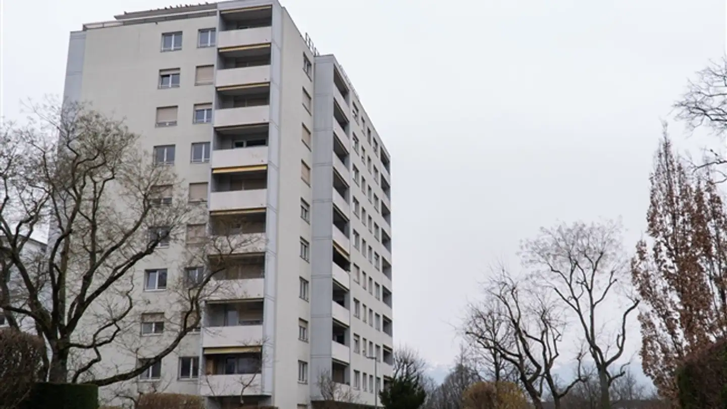 Outdoor parking space for rent - Chemin François- Lehmann 28, 1218 Le Grand-Saconnex