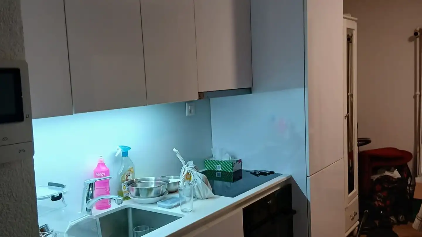 Appartement à louer - Reussinsel 54, 6003 Luzern - Photo 2