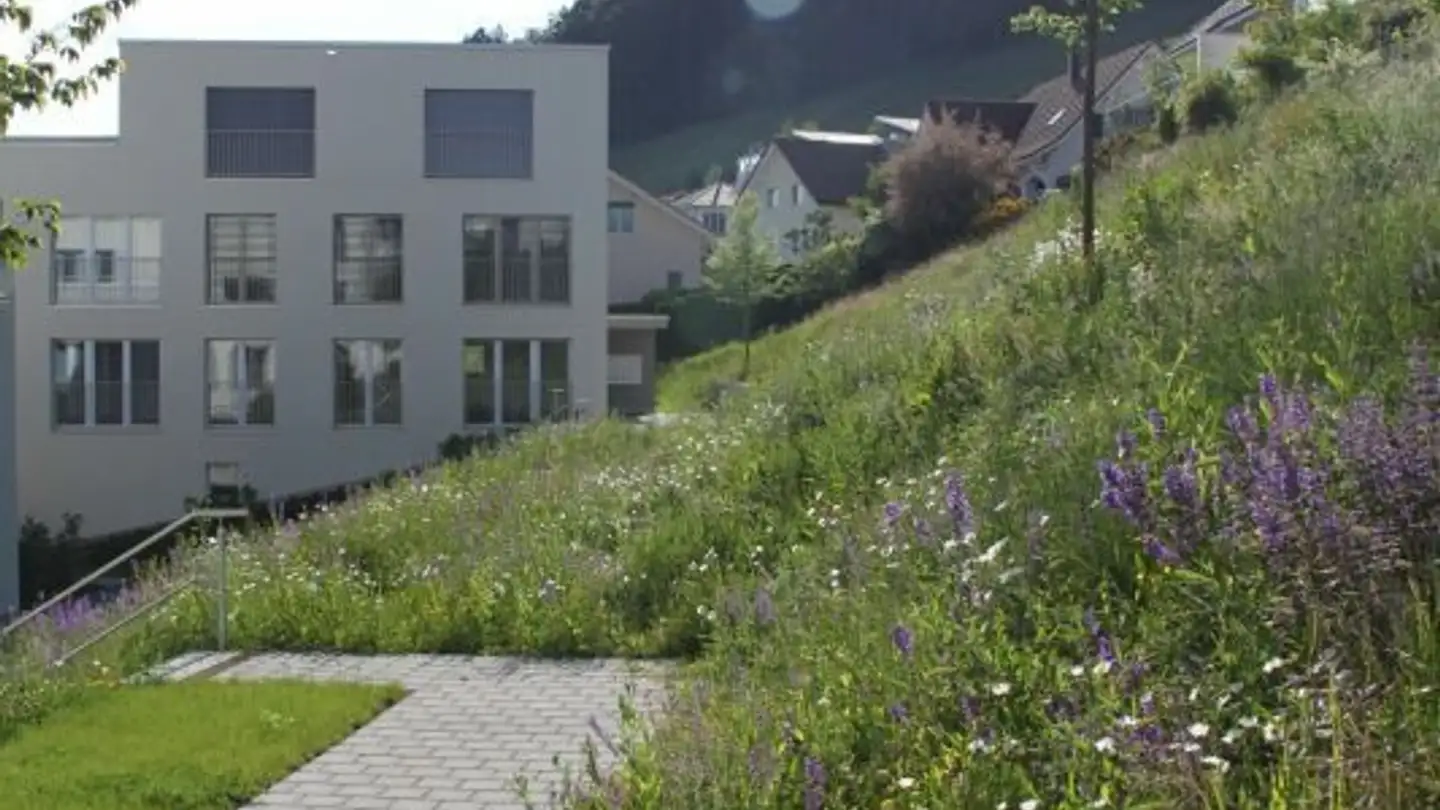 Wohnung mieten - St. Gallerstrasse, 9034 Eggersriet