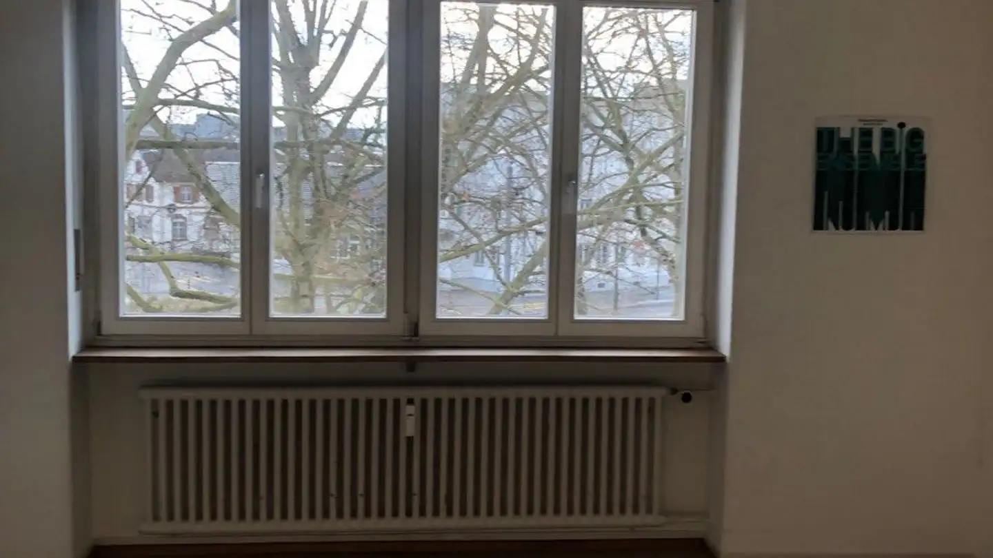 Single room for rent - Gundeldingerstrasse 498, 4053 Basel - Photo 4