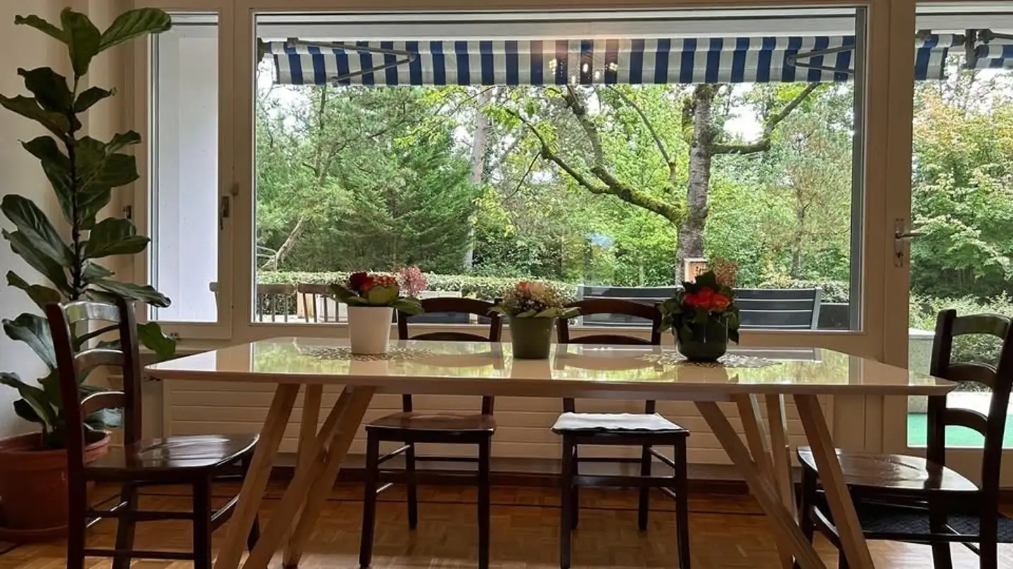 Appartamento in affitto - Chemin Taverney, 1218 Le Grand-Saconnex