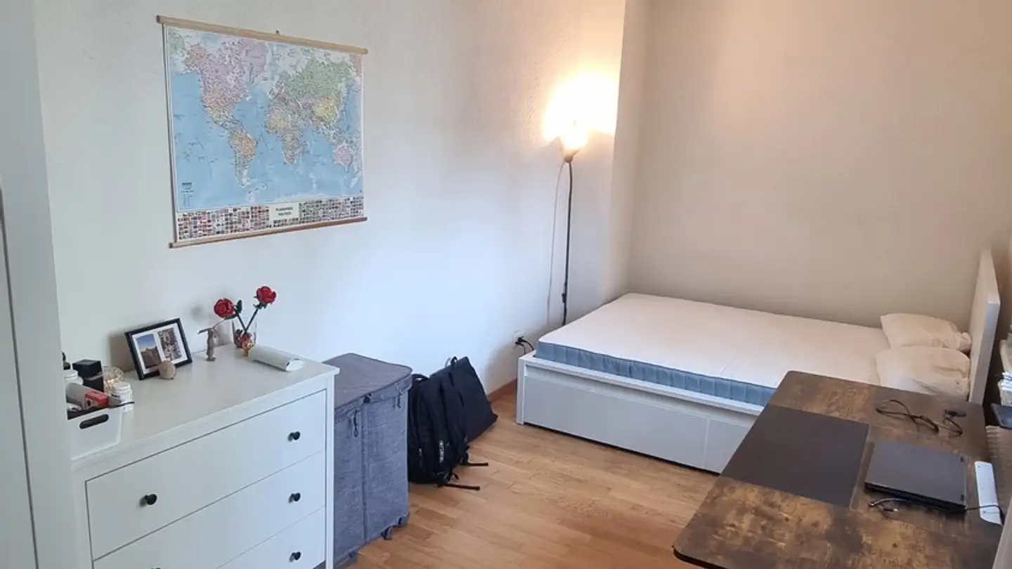 Stanza singola in affitto - 8004 Zürich