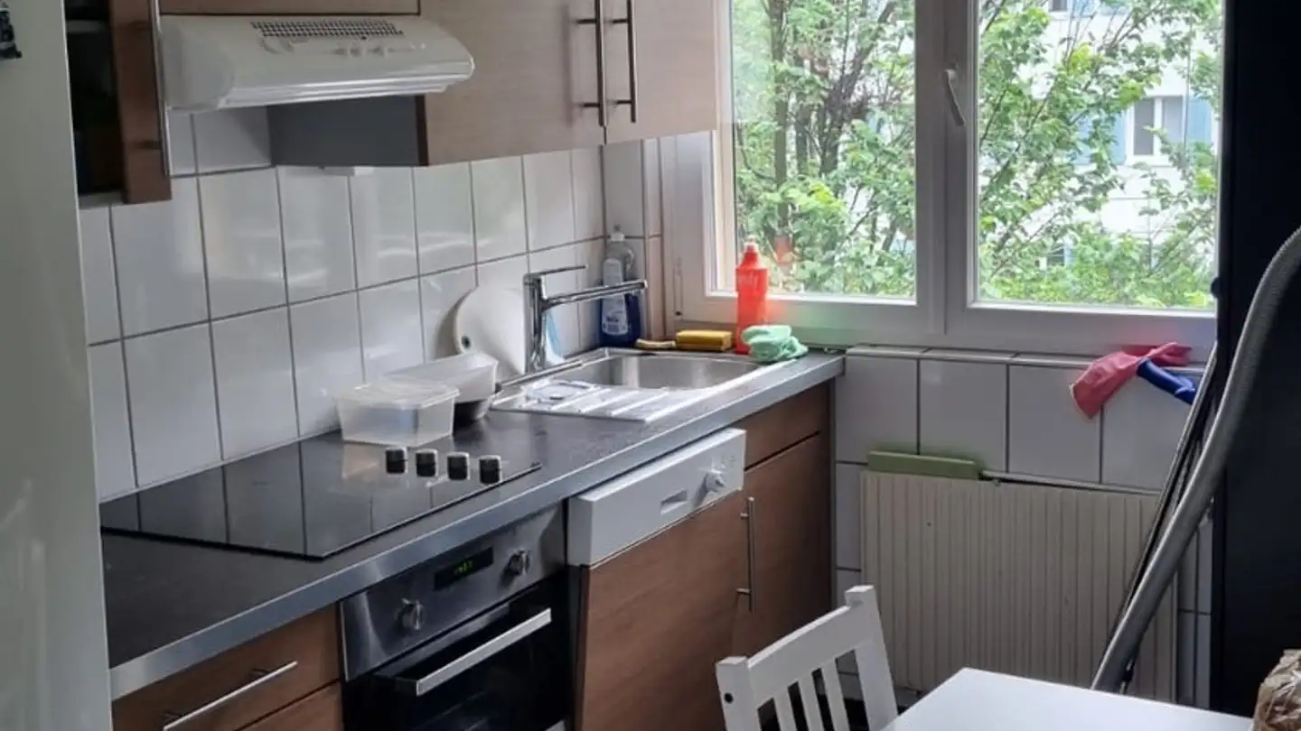 Appartement à louer - 8055 Zürich - Photo 3
