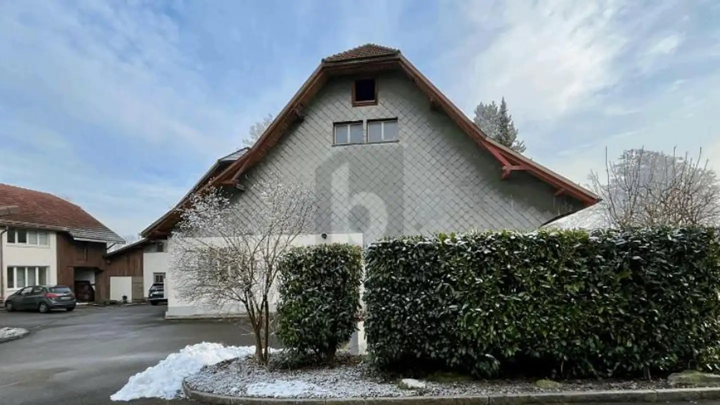 Commerciale in affitto - 8153 Rümlang