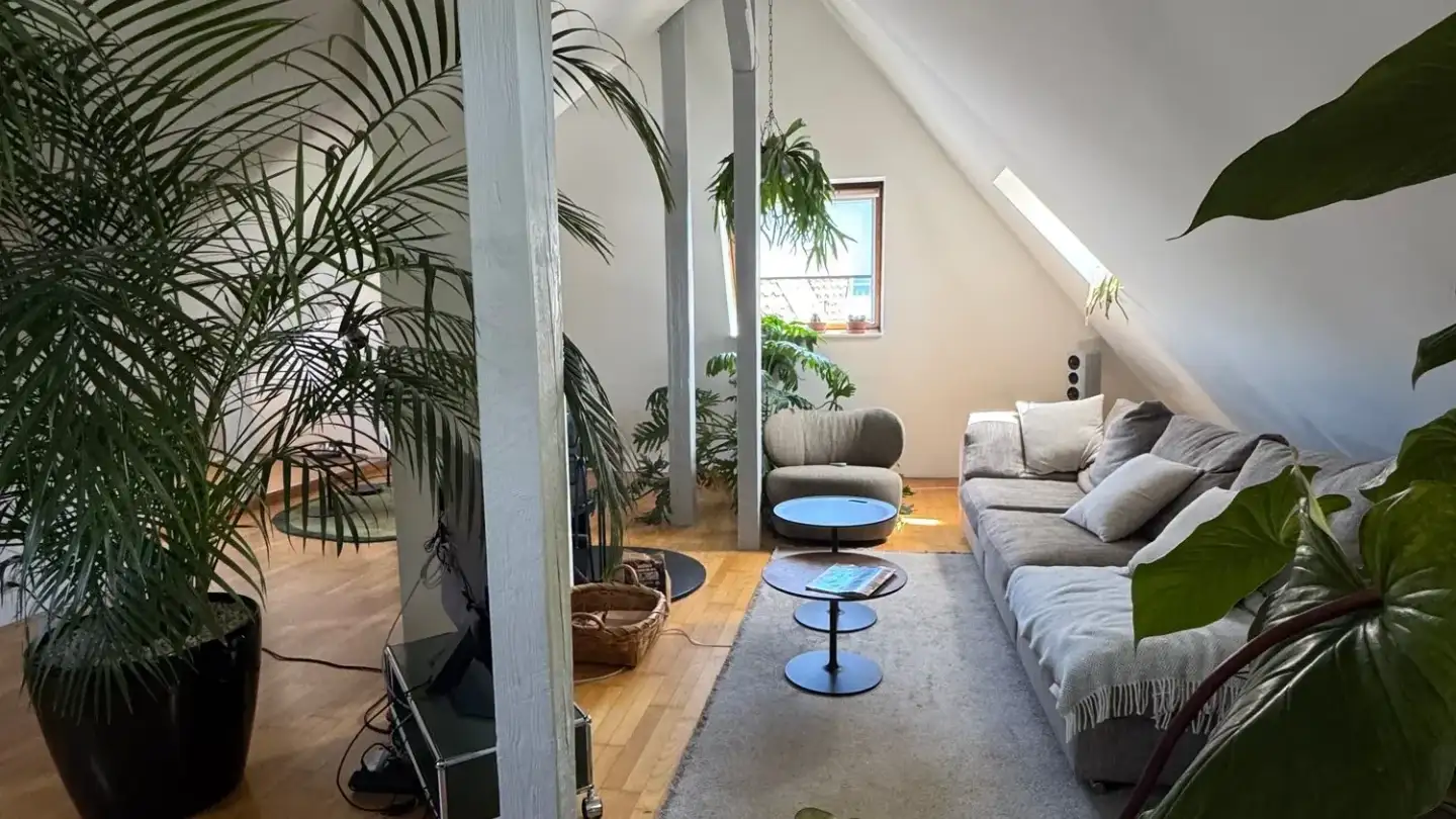 Apartment for rent - Schweizergasse 45, 4054 Basel
