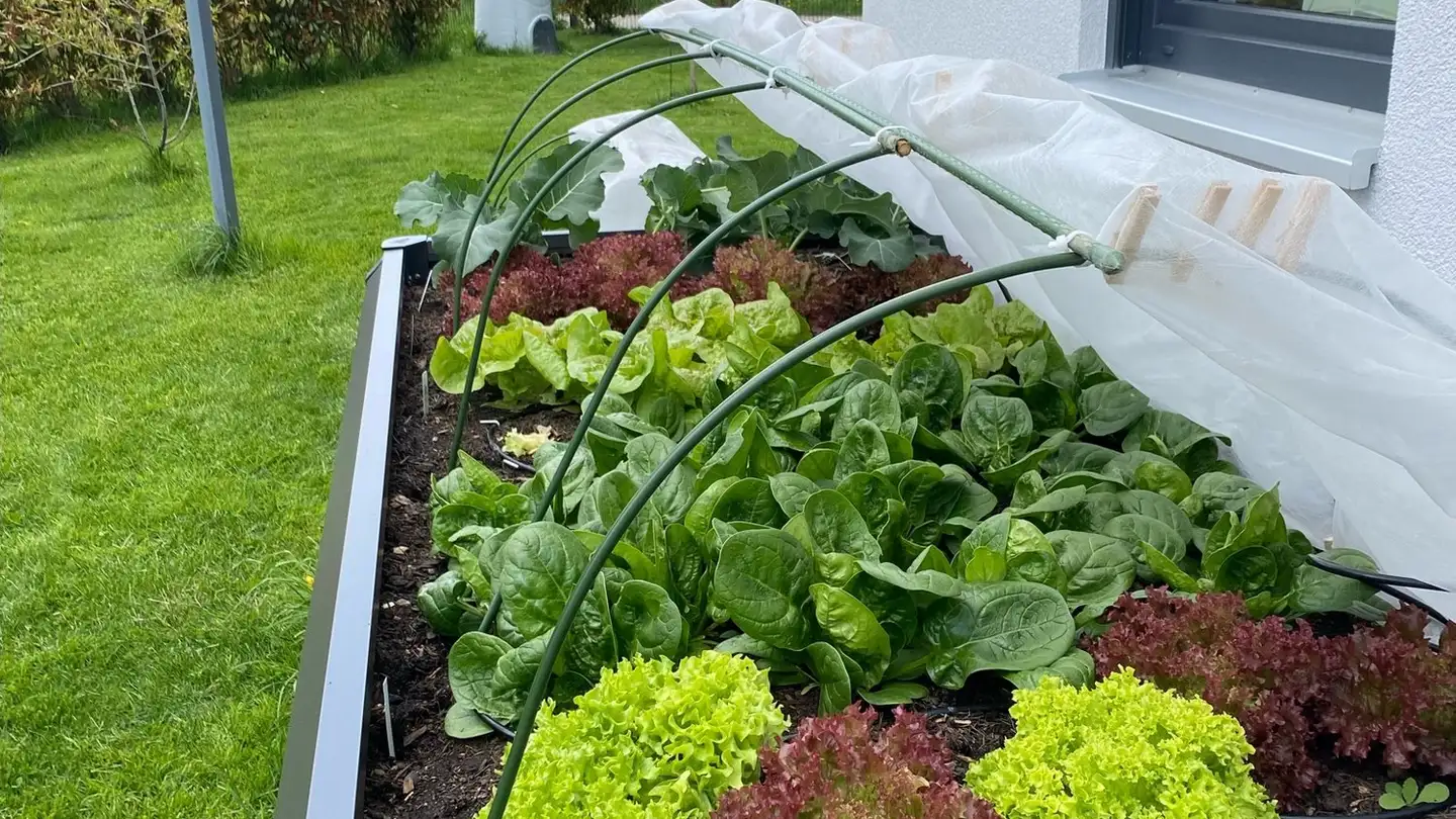 Single house for sale - Chemin Du Champ-Cavin 6, 1528 Surpierre - Photo 2