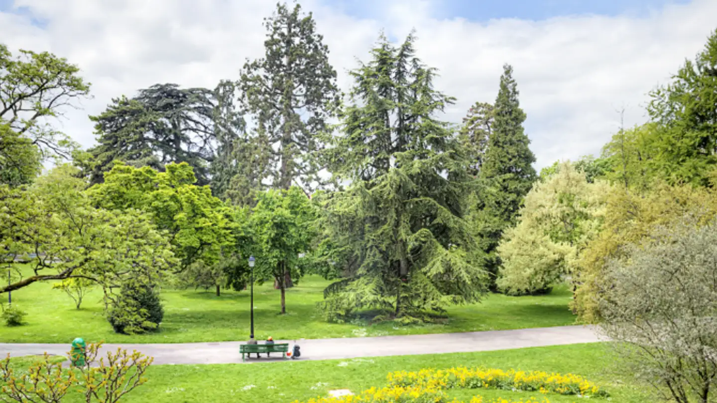 Apartment for sale - Rue Du Lac, 1207 Genève