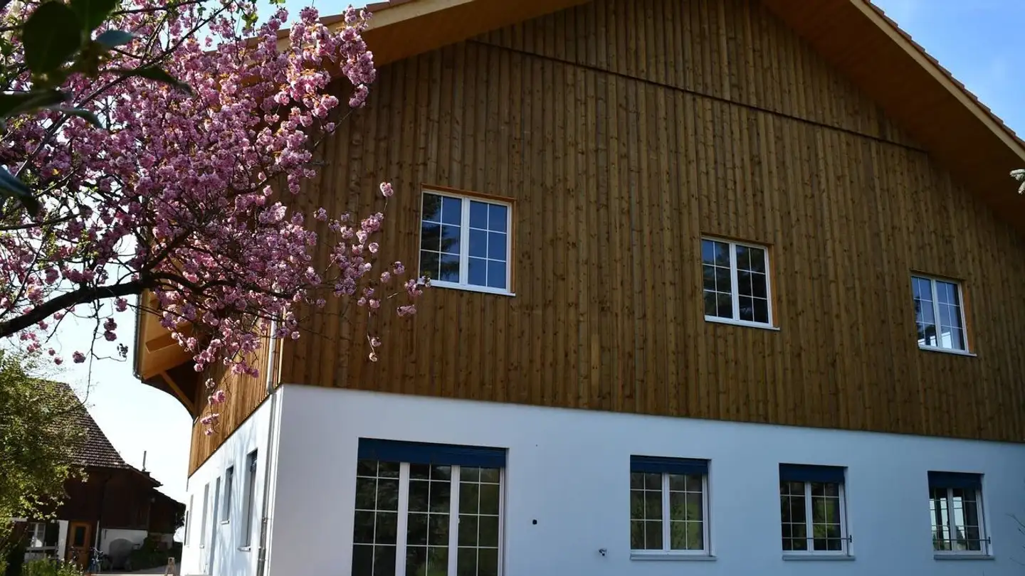 Fattoria in affitto - Sulzbacherstrasse 73, 8610 Uster