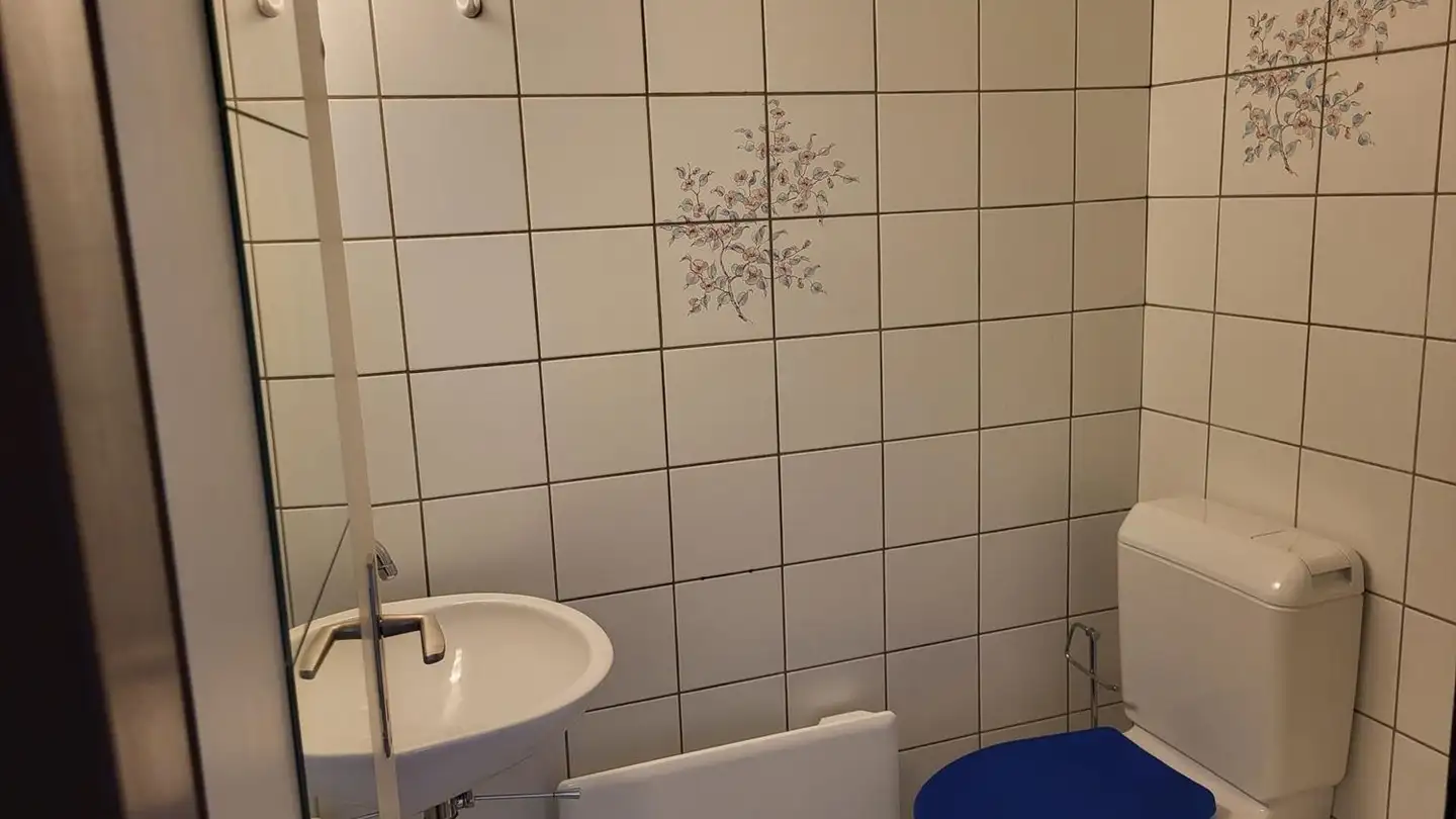 Studio in affitto - Rue De La Samaritaine 17, 1700 Fribourg - Photo 4