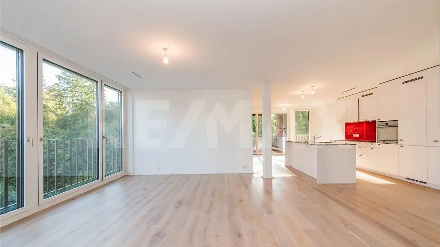 Appartamento in vendita - Tuchmacherstrasse, 8041 Zürich - Foto 3