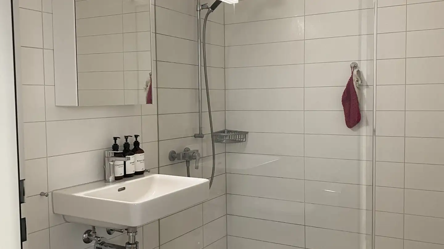 Appartamento in affitto - 8600 Dübendorf