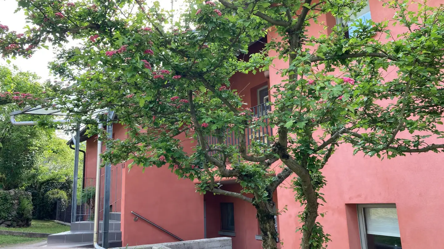 Appartement à louer - Via Favirolo 20, 6986 Curio