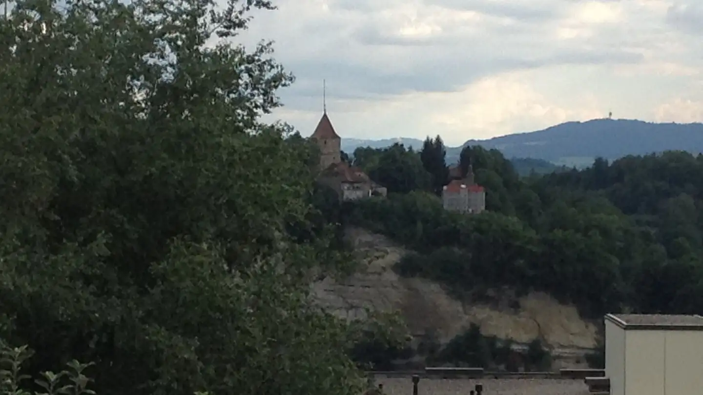 Attique à louer - Route Des Acacias 11, 1700 Fribourg - Photo 4