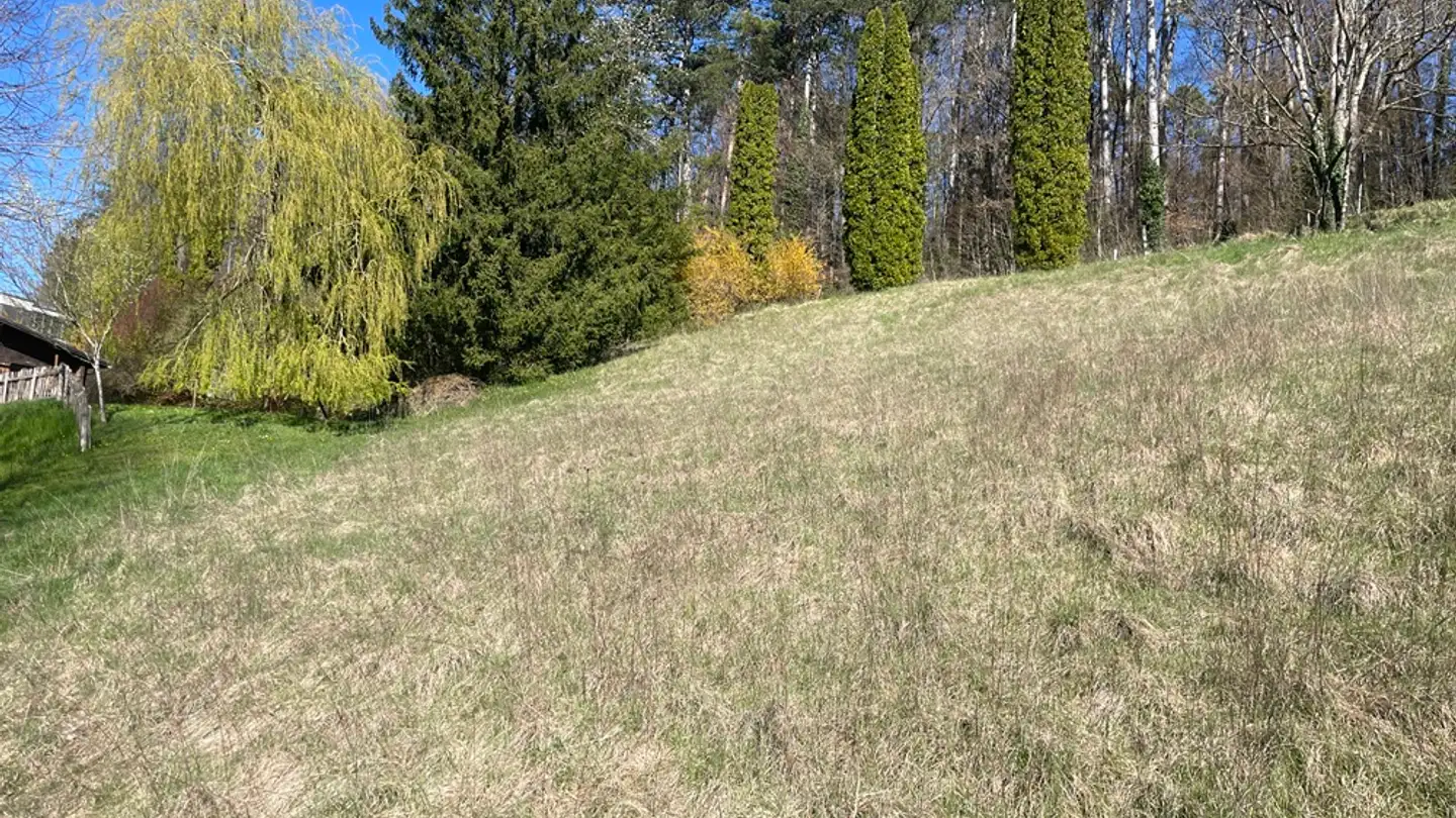 Constructible plot for sale - 2900 Porrentruy - Photo 3