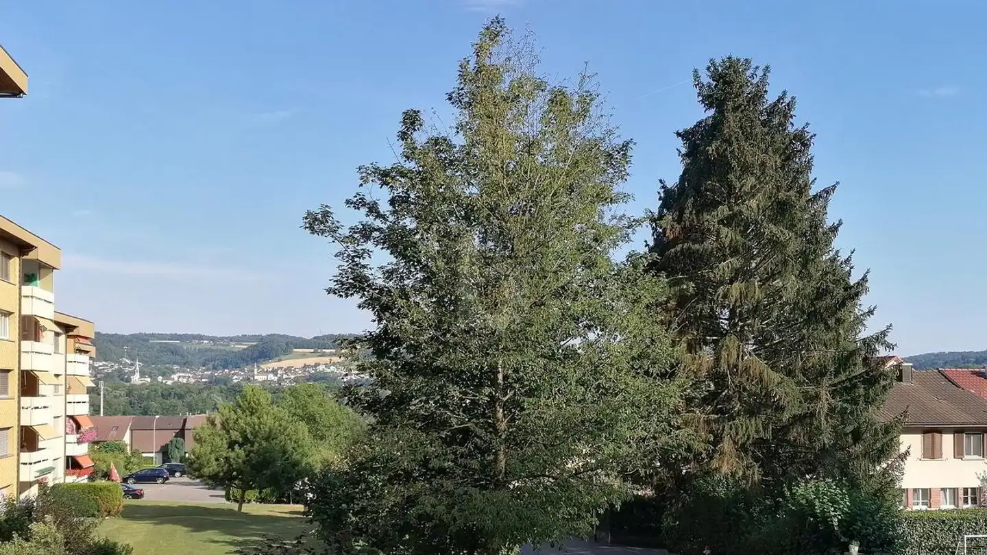 Terrassenwohnung mieten - 5200 Brugg AG - Foto 4