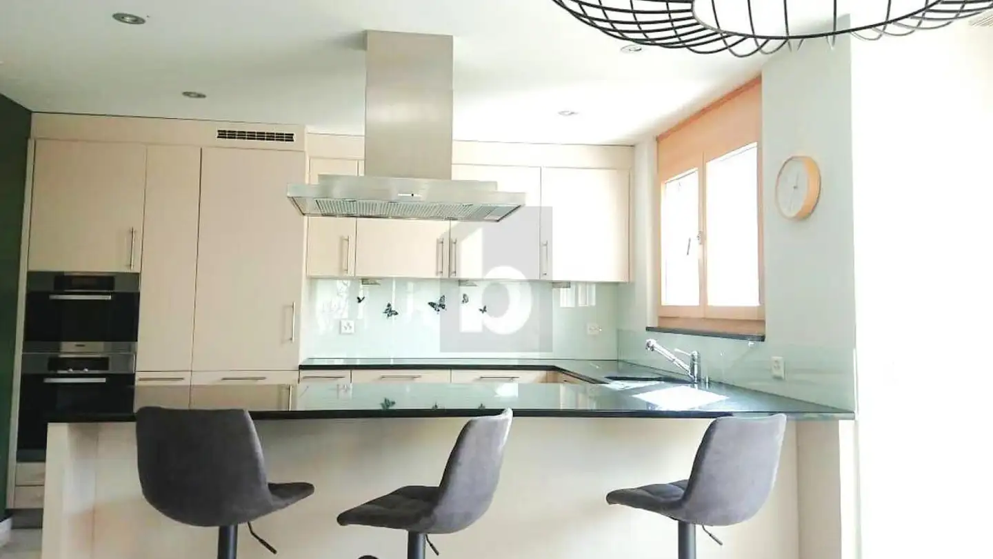 Duplex in affitto - 4410 Liestal - Photo 3