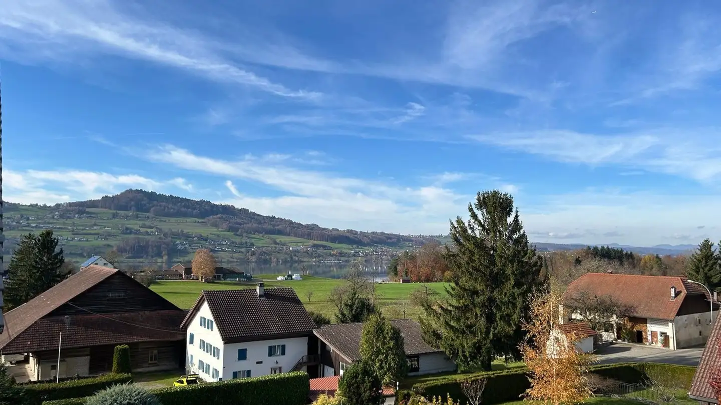 Duplex à vendre - Hauptstrasse 50, 5616 Meisterschwanden